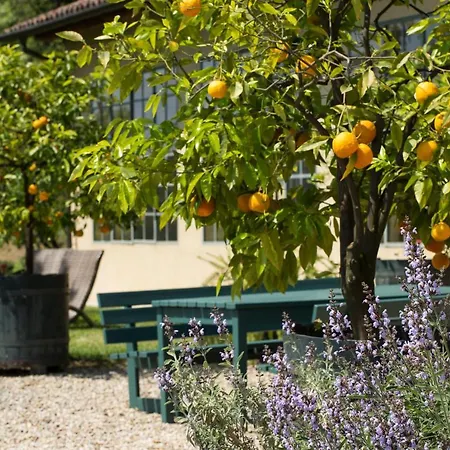 Cascina Margherita - Marchesi Alfieri 別荘 San Martino Alfieri