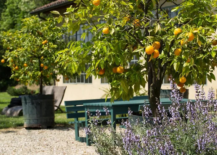 Cascina Margherita - Marchesi Alfieri Feriehus San Martino Alfieri