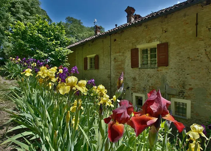 Cascina Margherita - Marchesi Alfieri * San Martino Alfieri