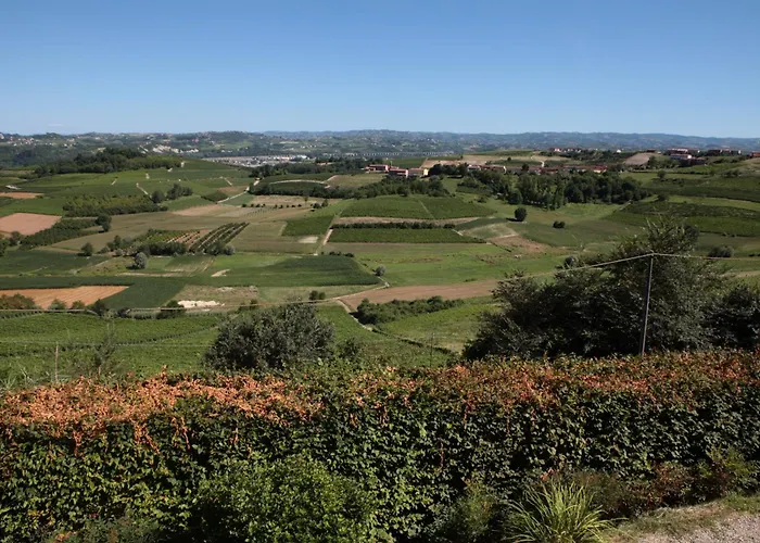 Cascina Margherita - Marchesi Alfieri San Martino Alfieri